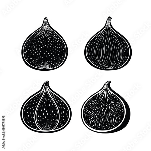 Set of fig fruit vector illustration.