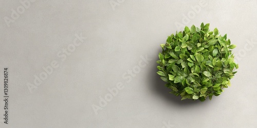 Topiary on gray background:...
