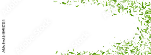Forest Foliage Fresh Vector Panoramic White