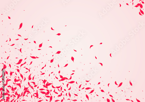 Carmine Peach Vector Pink Background. Fly Floral