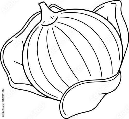 onion hand drawn