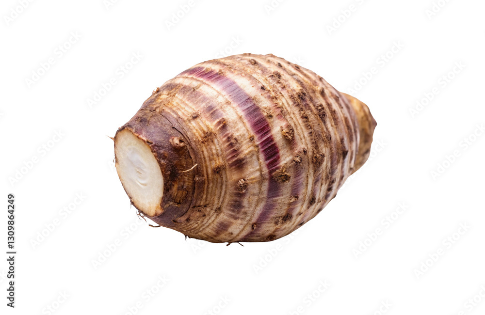 Fresh Taro Vegetable PNGs – Transparent Background for Design Use Fresh Taro Vegetable PNGs – Transparent Background for Design Use