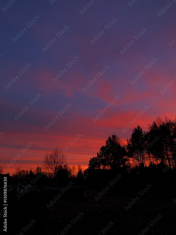 sunset in the sky sunset in the sky