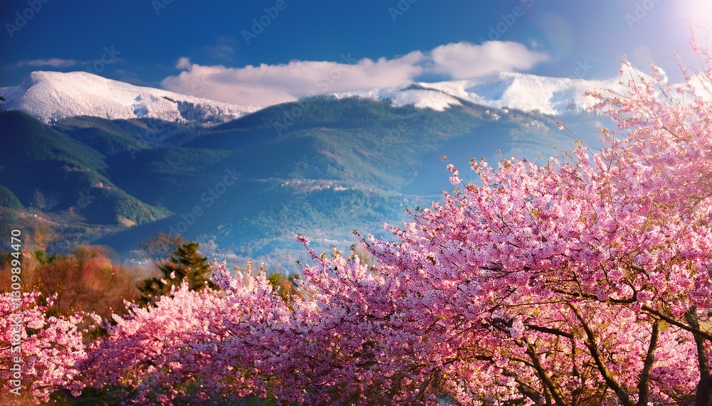spring pink flowers spring pink flowers