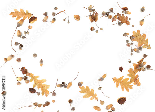 Wallpaper Mural Abstract arrangement of oak acorns isolated on white background. Set of dry brown acorns, leaves. Torontodigital.ca