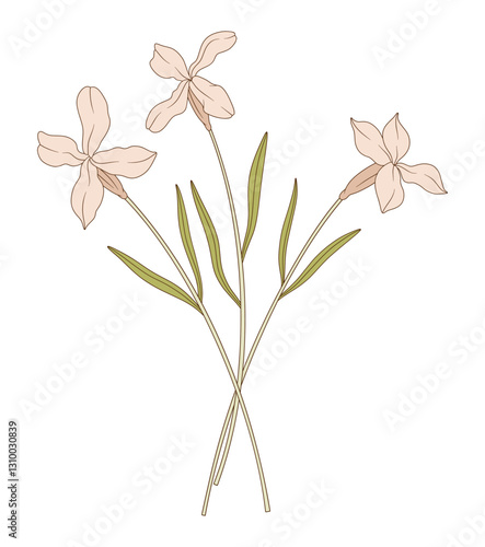 Wallpaper Mural Bouquet of three matthiola flowers with leaves. Bunch of blooming perennial wild plants. Botanical hand-drawn elements for design projects. Vector illustration Torontodigital.ca