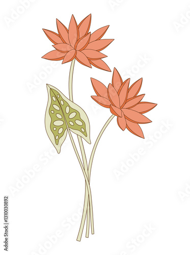Bright bouquet of two nymphaea flowers with leaf. Bunch of blooming water wild plants. Botanical hand-drawn elements for design projects. Vector illustration