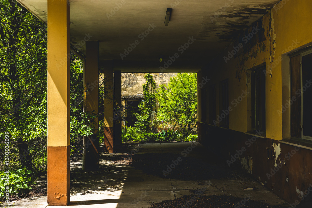 dettaglio di un portico all'esterno di un edificio abbandonato, avvolto dalla fitta vegetazione, di giorno, in estate