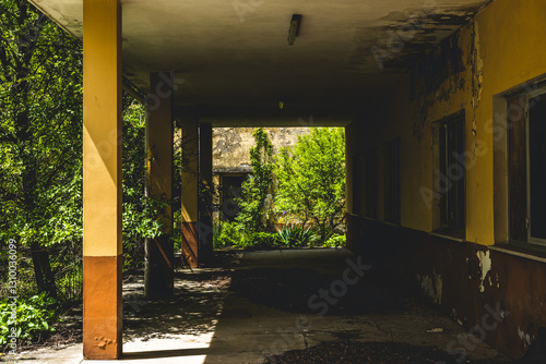 Obraz na płótnie dettaglio di un portico all'esterno di un edificio abbandonato, avvolto dalla fitta vegetazione, di giorno, in estate w salonie