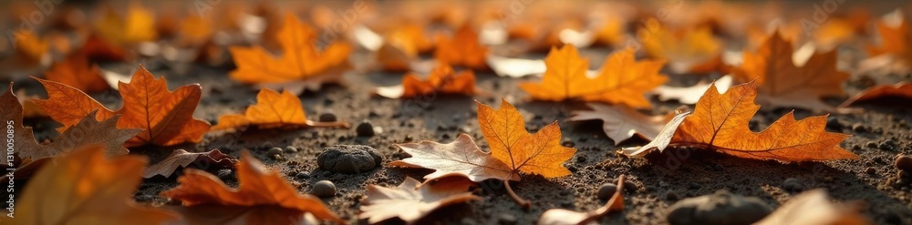 Dried and dusty oak leaves scattered on the ground, leaf, brown, oak Dried and dusty oak leaves scattered on the ground, leaf, brown, oak