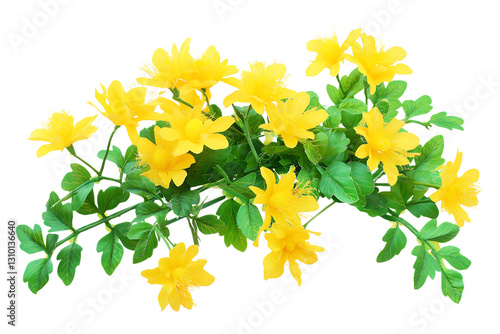 Vibrant yellow flowers blooming lush green branch spring floral bouquet on transparent background #1310136640