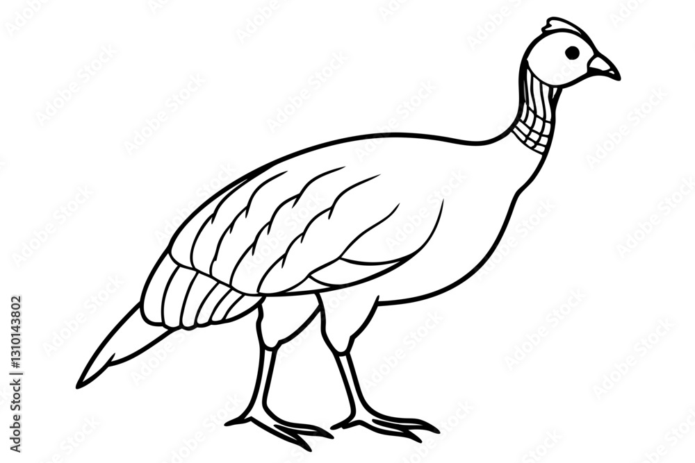 Fototapeta premium guineafowl silhouette line art vector illustration with a white background