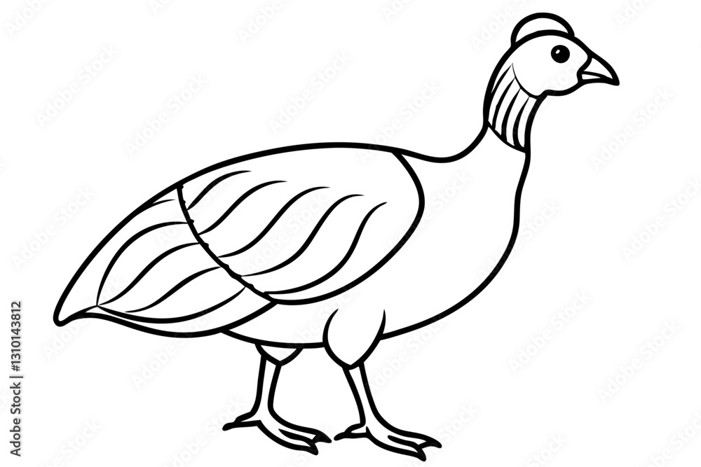 guineafowl silhouette line art vector illustration with a white background guineafowl silhouette line art vector illustration with a white background