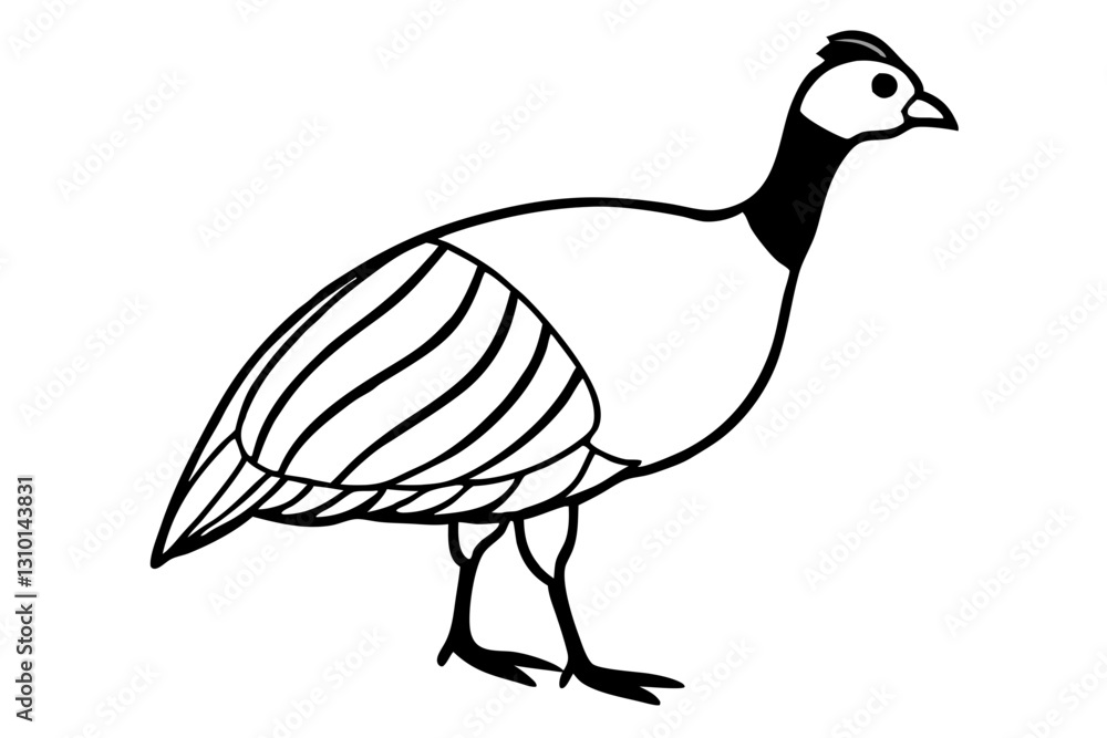 Fototapeta premium guineafowl silhouette line art vector illustration with a white background