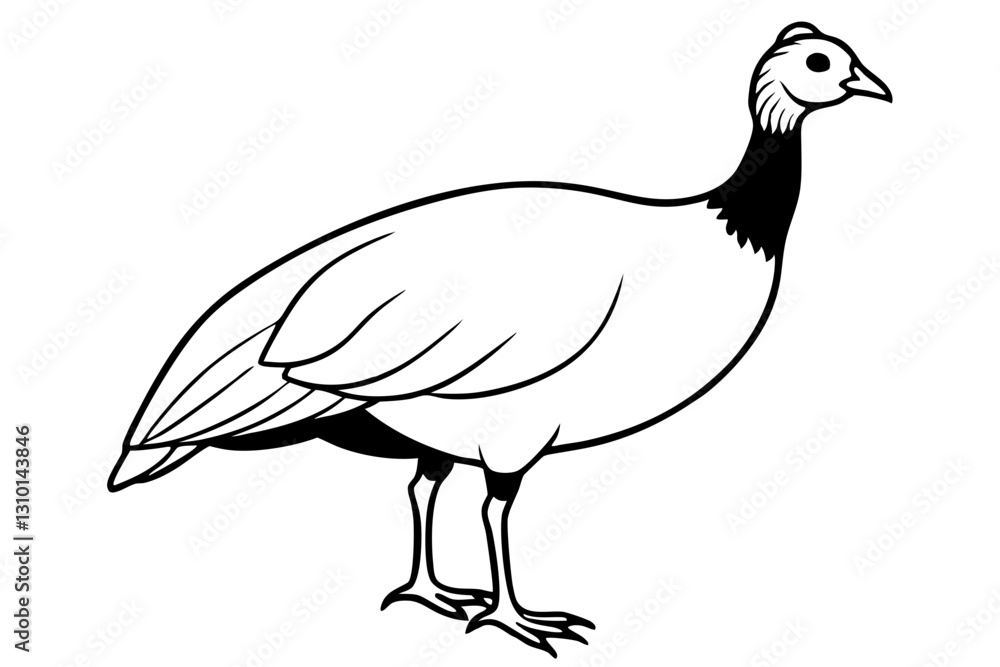 Fototapeta premium guineafowl silhouette line art vector illustration with a white background