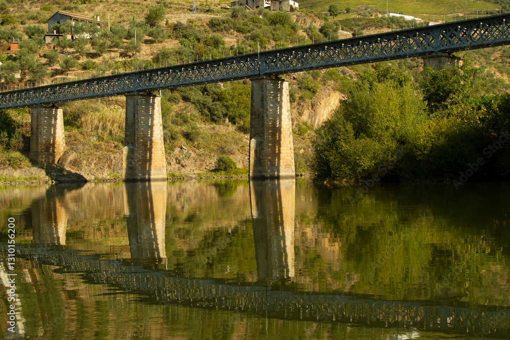 Fototapeta premium Douro Valley Portugal