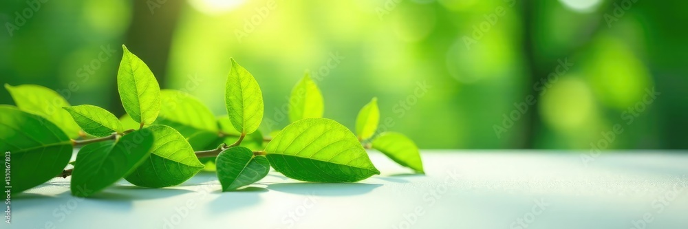Green leaves and stems stretch towards the light on a white surface, foliage, bare branches