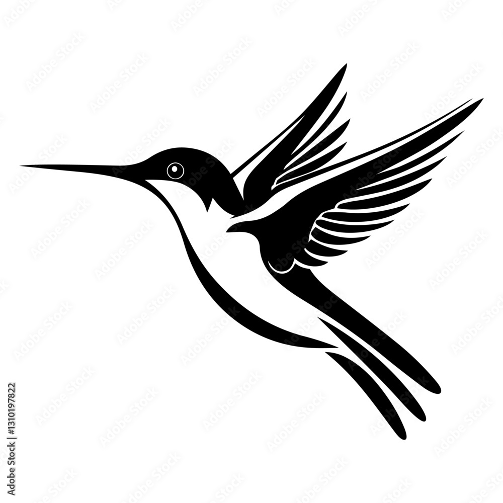 Fototapeta premium Hummingbird bird on white background.Elements for design.