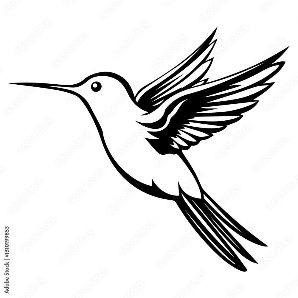 Fototapeta premium Hummingbird bird on white background.Elements for design.