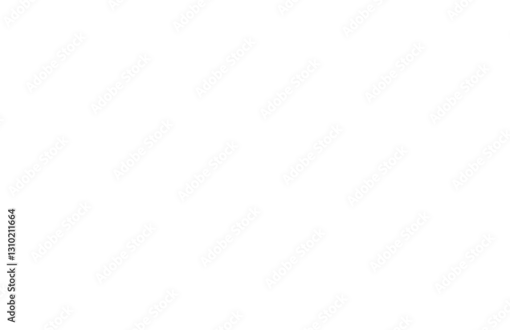 Obraz premium spider web no background