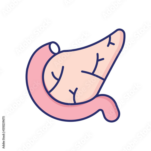 Pancreas vector icon
