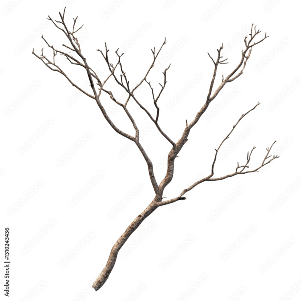 Bare Branches in a Vibrant Abstract World A Surreal Scene Bare Branches in a Vibrant Abstract World A Surreal Scene