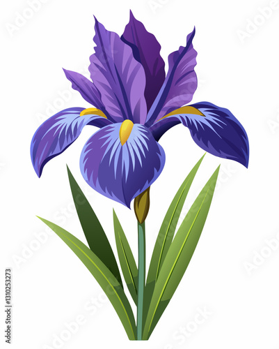 Vibrant purple iris flower blooming against a soft white background