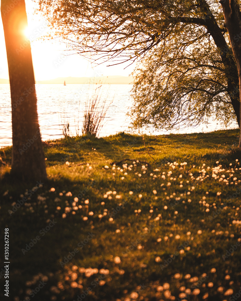 View on lake Balaton in spring