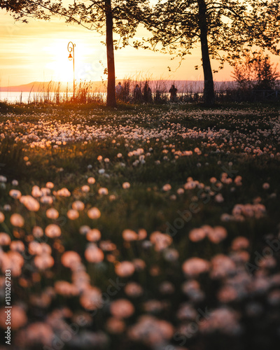 View on lake Balaton in spring