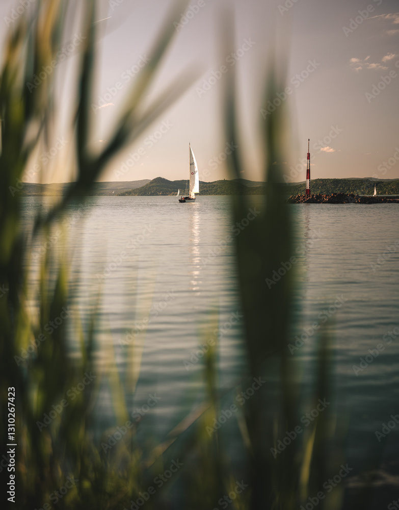 Sailboat in the port on lake Balaton in summer