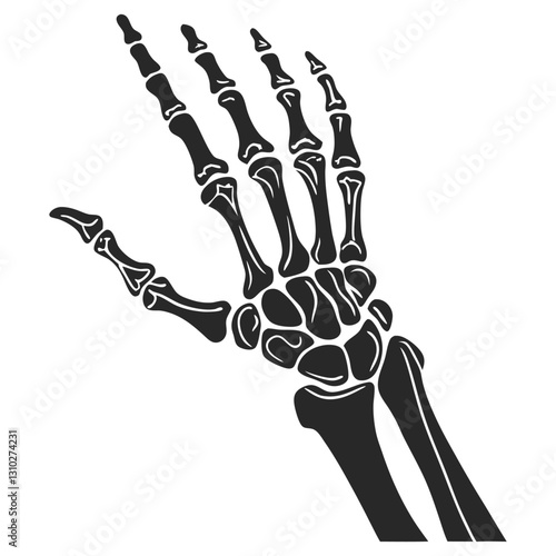 silhouette x - ray on white background