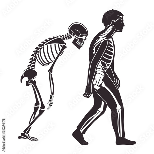 silhouette x - ray on white background