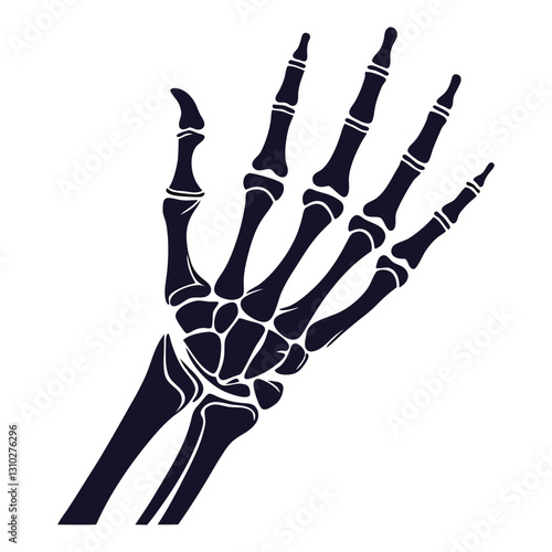 silhouette x - ray on white background