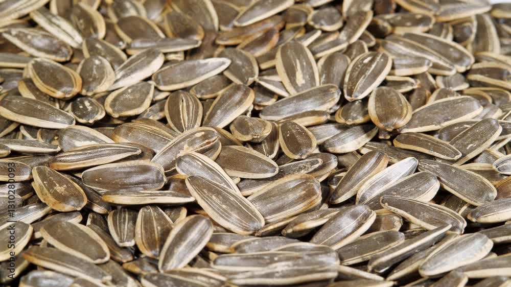 Dried Sunflower Seeds Rotating Close Up. Top View. Background from Natural Products. Healthy Snacks Dried Sunflower Seeds Rotating Close Up. Top View. Background from Natural Products. Healthy Snacks