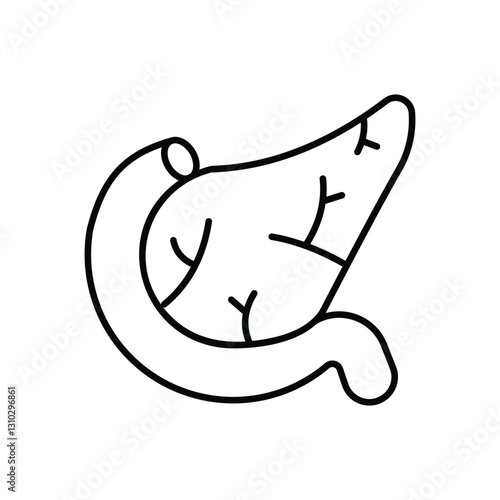 Pancreas vector icon