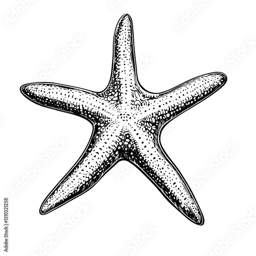 Engraved illustration of a starfish design perfect for tattoos or packaging in marine-themed artistry