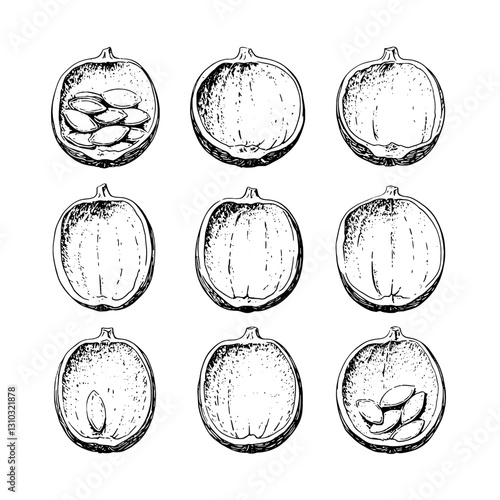 Engraved pumpkin seed tattoo design showcasing the intricate details of nature's bounty for creative packaging inspiration