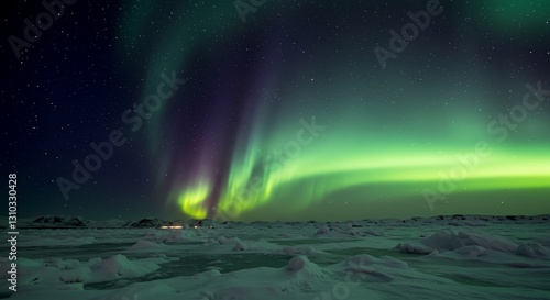 Wallpaper Mural Arctic Aurora Borealis display over snowy landscape Torontodigital.ca