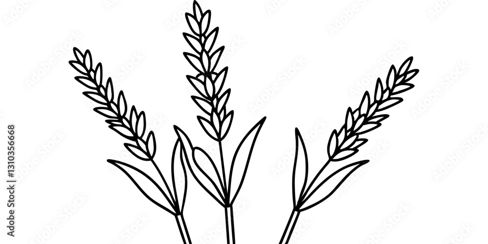 Naklejka premium Minimalist line art of wheat stalks with white background, ideal for agriculture themes