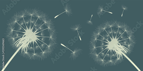 Vector illustration of dandelion time. Beautiful realistic Dandelion seeds blowing in the wind. The wind inflates a dandelion isolated in an editable evening background.