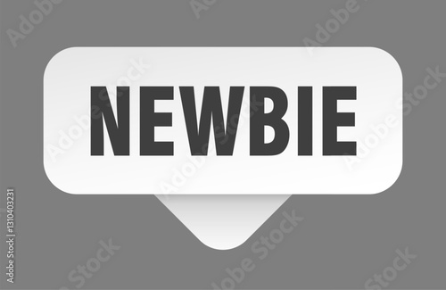 newbie sticker. newbie sign isolated on gray background