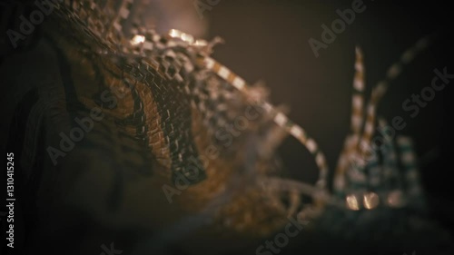 Cinematic garbage in nature