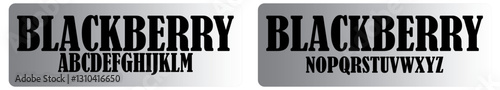blackberry.bernard mt condens...