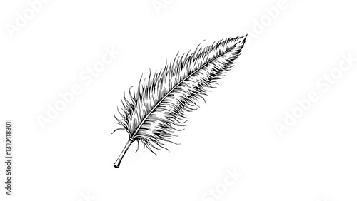 Vintage sketch of a feather against a white background  