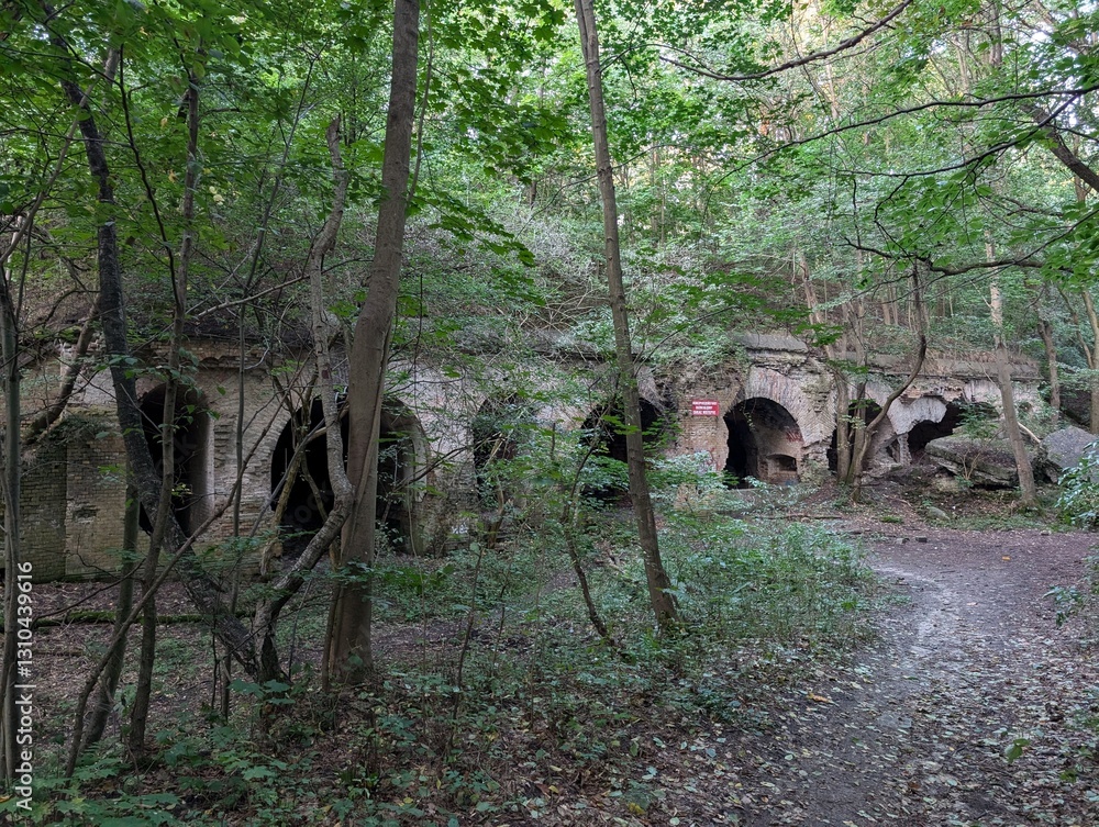 Obraz premium Fort Sarbinowo ukryty w lesie