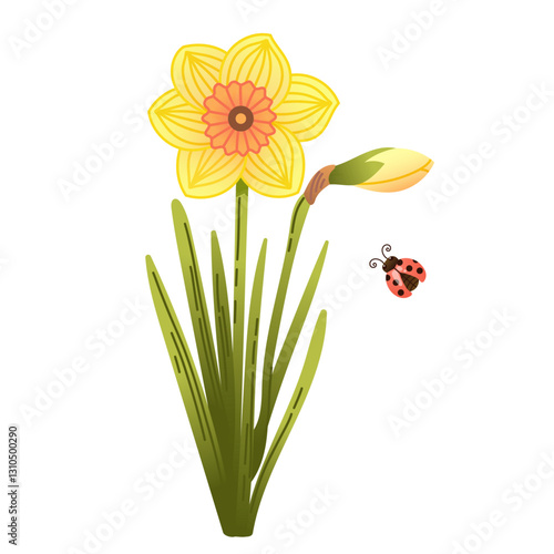 Illustration of bright yellow daffodil with green leaves and cute ladybug in hand drawn style 