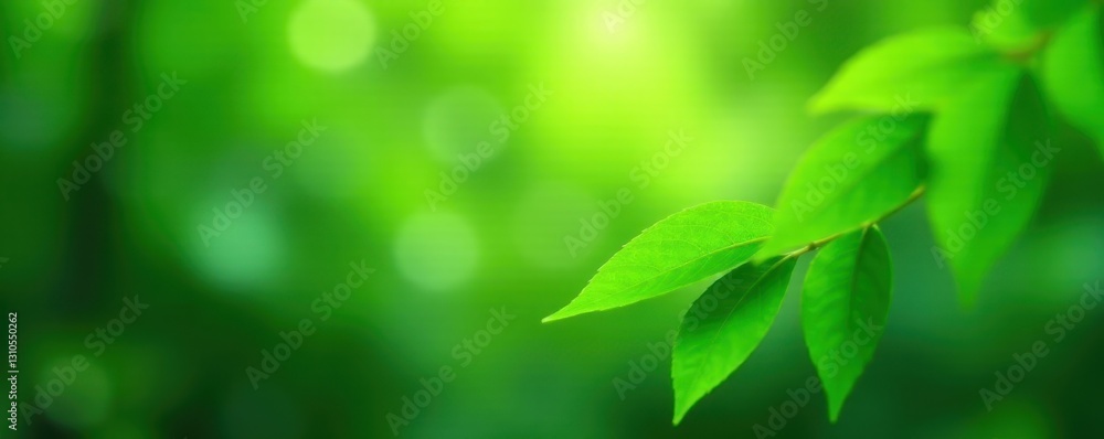 Blurred vibrant green leaves, dreamy bokeh effect, texture, environment, leaves Blurred vibrant green leaves, dreamy bokeh effect, texture, environment, leaves