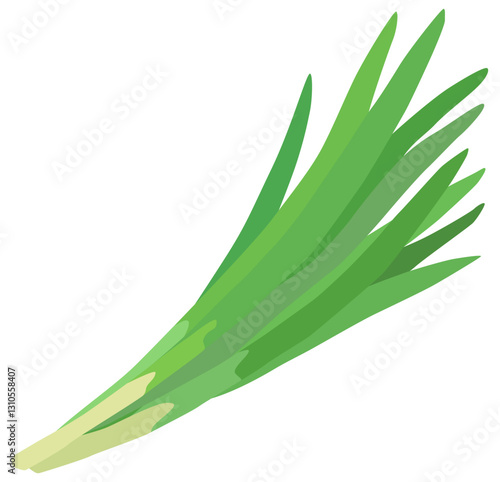 ニラ 緑黄色野菜 ベクター素材