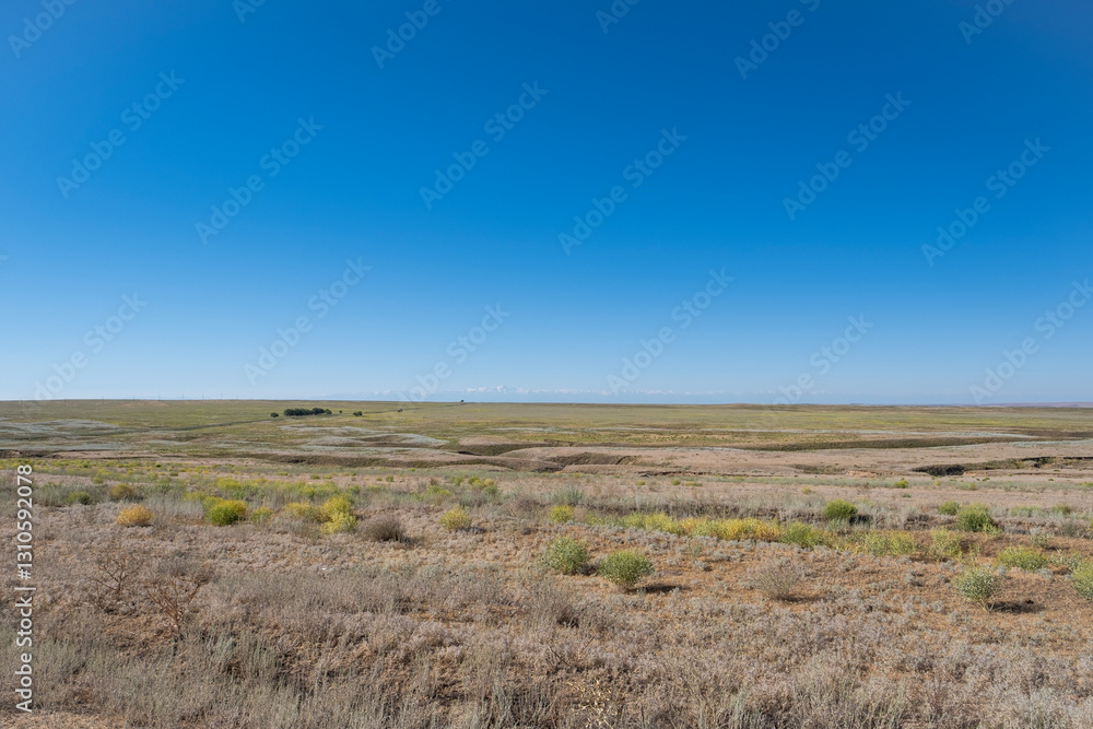 Steppe in Kazakhstan. Almaty, Central Asia. Landscape in the Ili River Valley Steppe in Kazakhstan. Almaty, Central Asia. Landscape in the Ili River Valley