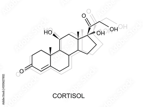 cortisol formula